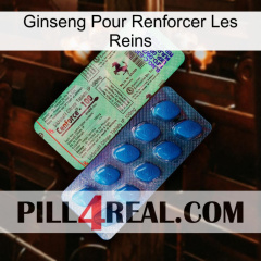 Ginseng For Reinforcing Kidney new02